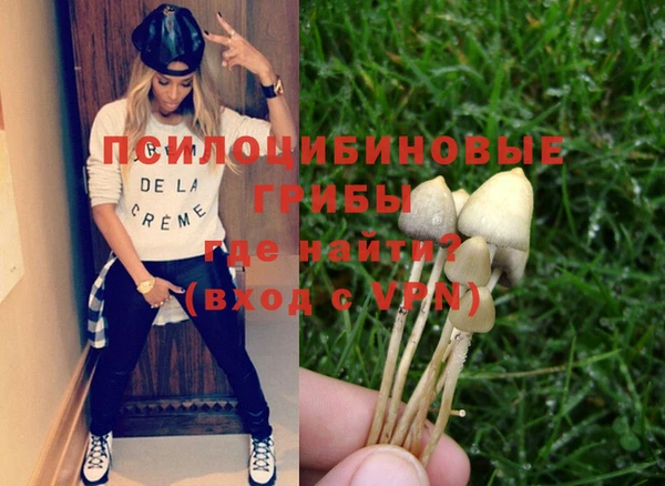 метадон Аркадак