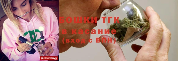 ешки Алексин
