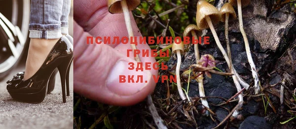 метадон Аркадак
